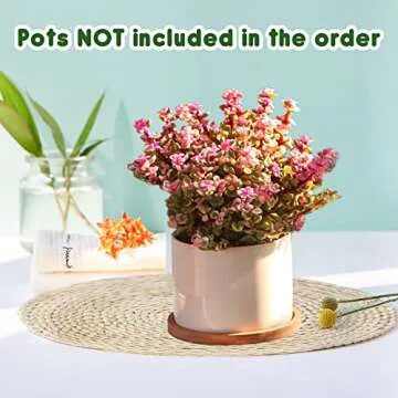 Fenspeed 2pcs Bamboo Plant Saucer Drip Trays, Round Plant Trays for Indoors/Outdoors, Brown, 8Inch/20CM