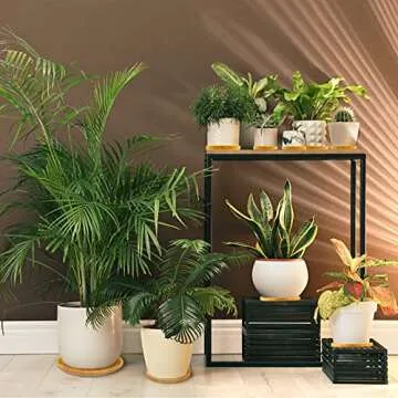 Fenspeed 2pcs Bamboo Plant Saucer Drip Trays, Round Plant Trays for Indoors/Outdoors, Brown, 8Inch/20CM