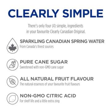 Clearly Canadian Mountain Blackberry Sparkling Spring Water Beverage, Natural & Carbonated, Flavored Seltzer Water, 1 Case (12 Bottles x 325mL)