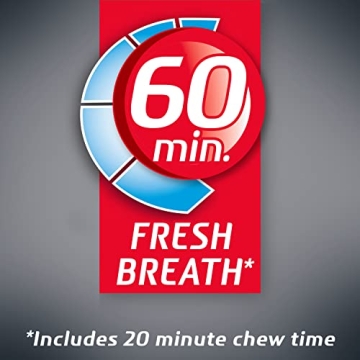 Dentyne Ice Arctic Chill Gum - Sugar Free Refreshing Packs