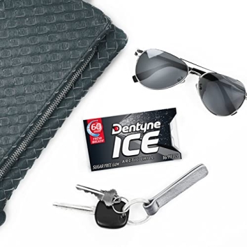 Dentyne Ice Arctic Chill Gum - Sugar Free Refreshing Packs