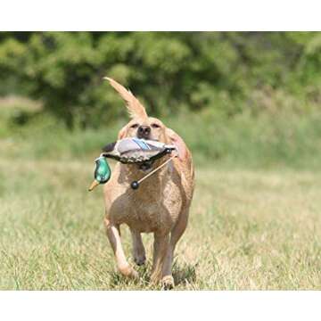 Avery EZ Bird Mallard Training Dummy - Waterproof and Durable