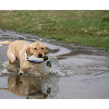 Avery EZ Bird Mallard Training Dummy - Waterproof and Durable