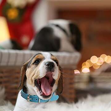 Puppy Collars for Litter - 14 Color Adjustable ID Collar Identification Leather Small Dog Collars for Puppy Medium Large Breed Dogs - Neck 6~13 Inches