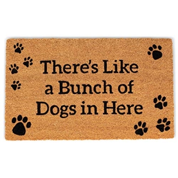BIRDROCK HOME Beware of Dog Doormat - Funny Welcome Mat for Front Door, Entryway, Porch, Patio, Gara...