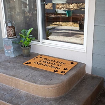 Fun BIRDROCK HOME Dog Doormat for Pet Lovers - 18x30 Inch
