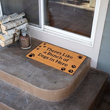 Fun BIRDROCK HOME Dog Doormat for Pet Lovers - 18x30 Inch