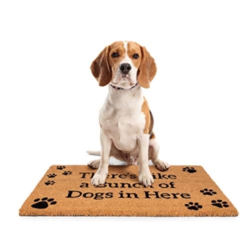 Fun BIRDROCK HOME Dog Doormat for Pet Lovers - 18x30 Inch