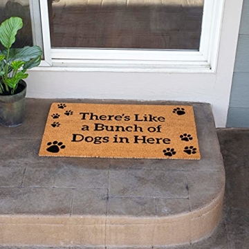 Fun BIRDROCK HOME Dog Doormat for Pet Lovers - 18x30 Inch