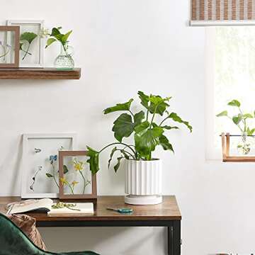 SONGMICS Ceramic Planter, White Flower Plant Pot Indoors, 6.1-Inch Round Modern Ceramic Plant Pot with Drainage Hole and Saucer, Indoor Decor ULCF031W01