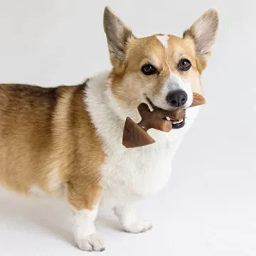 Benebone 4-Pack Dog Chew Toys for Aggressive Chewers