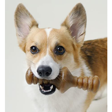 Benebone 4-Pack Dog Chew Toys for Aggressive Chewers