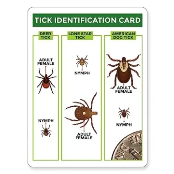 TickCheck Tick Remover Kit for Pets and Humans 3 Pack