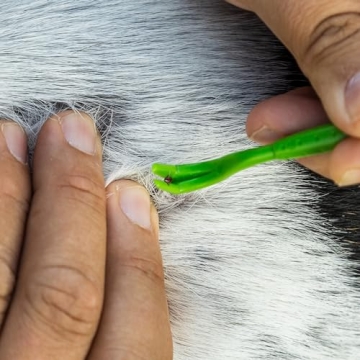 TickCheck Tick Remover Kit for Pets and Humans 3 Pack