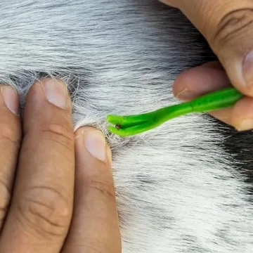 TickCheck Tick Remover Kit for Pets and Humans 3 Pack