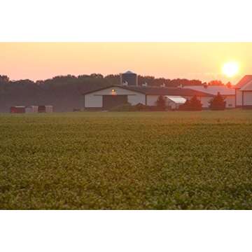 Standard Process Cod Liver Oil - EPA & DHA - Whole-Food Based Eye & Skin Health - Antioxidant Supplement for Bone & Heart Strength - 180 Softgels