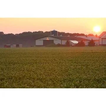 Standard Process Cod Liver Oil - EPA & DHA - Whole-Food Based Eye & Skin Health - Antioxidant Supplement for Bone & Heart Strength - 180 Softgels