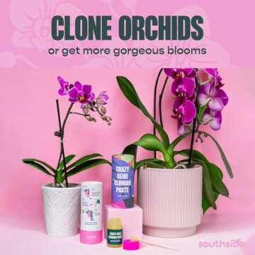 Keiki Cloning Paste by Southside Plants - Miracle Growth for Orchids & Houseplants - Generate New Life with Cytokinin, Hormones & Vitamins - 0.25oz x 3