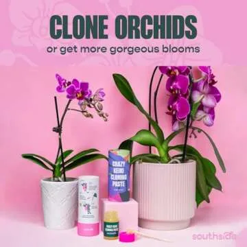 Keiki Cloning Paste by Southside Plants - Miracle Growth for Orchids & Houseplants - Generate New Life with Cytokinin, Hormones & Vitamins - 0.25oz x 3