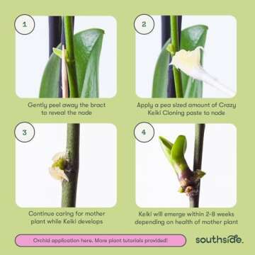 Keiki Cloning Paste by Southside Plants - Miracle Growth for Orchids & Houseplants - Generate New Life with Cytokinin, Hormones & Vitamins - 0.25oz x 3