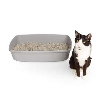 So Phresh X-Large Grey Cat Litter Box for Pets
