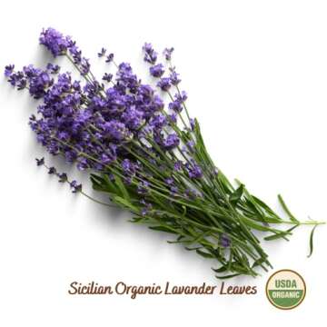 Filippone® Organic Dried Lavender Bunch 25 g (0.88 oz), Freshly Grown in The Mountains of Sicily, Culinary Lavender, Italian Dried Lavender Branches, Herb, Spices, Certified USDA Organic