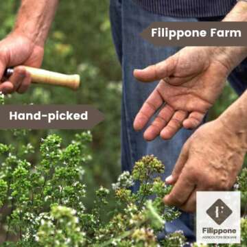 Filippone® Organic Dried Lavender Bunch 25 g (0.88 oz), Freshly Grown in The Mountains of Sicily, Culinary Lavender, Italian Dried Lavender Branches, Herb, Spices, Certified USDA Organic