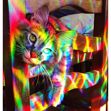 Rainbow Symphony Window Stickers for Stunning Sunlight Rainbows