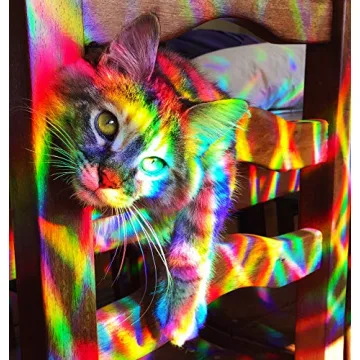 Rainbow Symphony Window Stickers for Stunning Sunlight Rainbows