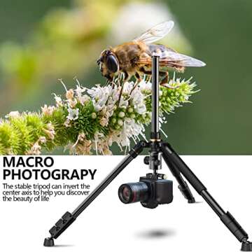 77” DSLR Camera Tripod for Travel - NIANYISO Compact Tripod for Camera, Professional Tripods with 36mm 360 Degree Ball Head, Lightweight Aluminum Camera Tripods & Monopods Load up to 33 lbs