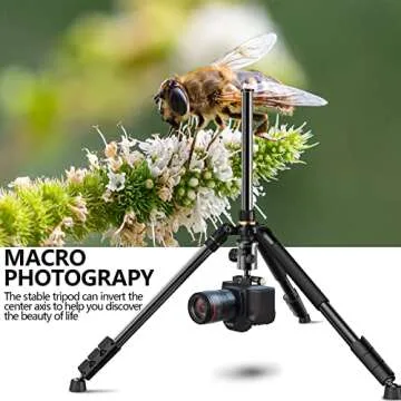 77” DSLR Camera Tripod for Travel - NIANYISO Compact Tripod for Camera, Professional Tripods with 36mm 360 Degree Ball Head, Lightweight Aluminum Camera Tripods & Monopods Load up to 33 lbs