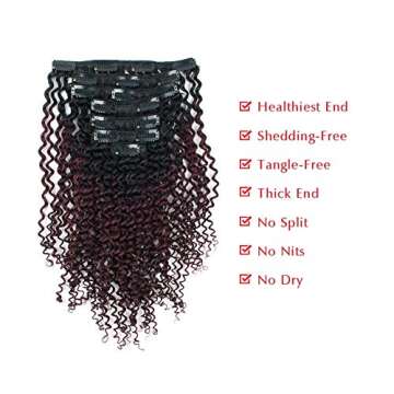 Lovrio Kinkys Curly Virgin Brazilian Clip in Human Extensions Double Weft Remy Hair for African American Ombre Tone Natural Black Fading into Cherry Wine Color 7 Pieces 120g KCTN/99J 14"