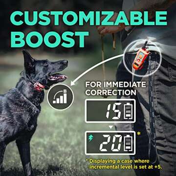 Dogtra E-Collar Tom Davis 280C Boost & Lock, Waterproof, 1/2-Mile Range Dog Training Collar with Remote, Rechargeable, 127 Levels, Vibration, Bungee, No Bad Dogs Trainer for Small, Medium, Large Dogs