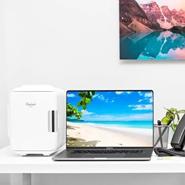 Cooluli Mini Fridge: Portable 4L Cooler & Warmer