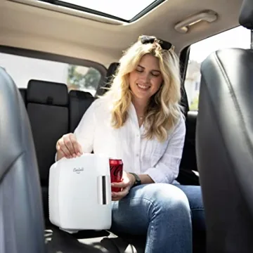 Cooluli Mini Fridge: Portable 4L Cooler & Warmer