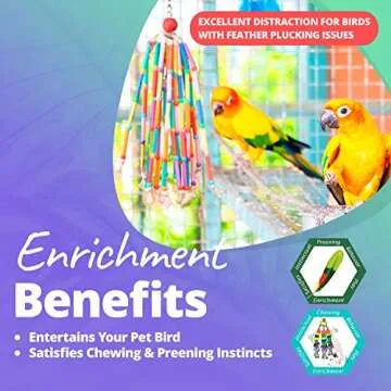 Super Bird Creations Wind Chimes Toy for Medium Birds