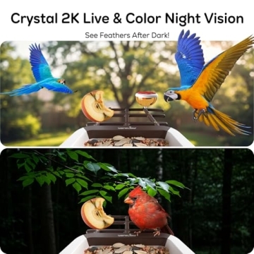 Smart Bird Feeder with AI Camera for Bird Lovers