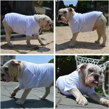Lovelonglong Bulldog Tee Shirts for Comfort and Style