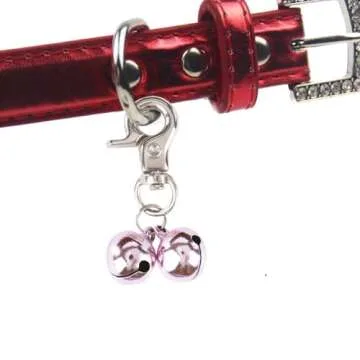 EXPAWLORER Cat Dog Collar Bells - Loud & Durable 2 Pack