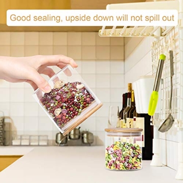 Dabacc 4 Pack Airtight Glass Storage Jars for Organizing