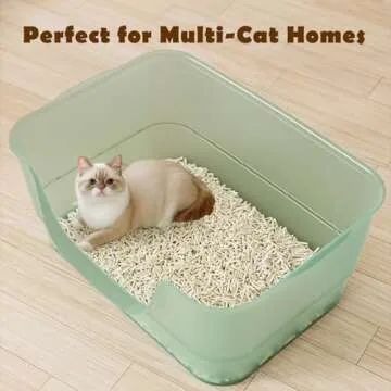 Extra Large Cat Litter Box for Easy Maintenance and Durability