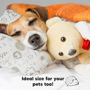 KeaBabies My Little Dreamy Toddler Pillow 13x18 - Organic Cotton for Kids