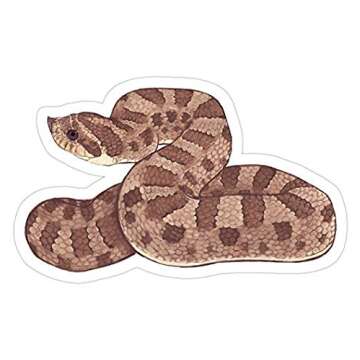 Hognose Snake Decal Sticker - Sticker Graphic - Auto, Wall, Laptop, Cell, Truck Sticker for Windows,...