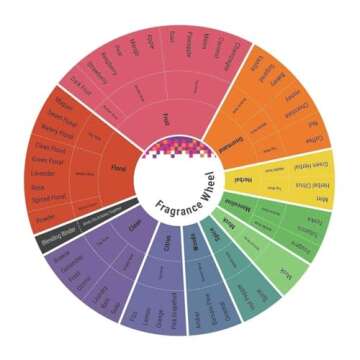 Johan B. Rich Delice for Women Eau De Parfum Spray - Exquisite 2.8 Ounce Fragrance