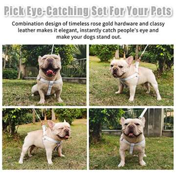 Soft Leather No Pull Dog Harness - Adjustable Step in Dog Harness with Rose Gold Heavy Duty Metal Buckle, Freedom Nylon Dog Halter Vests for Small Medium Large Dogs Easy Walking Training (White,L)