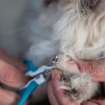 Mr. Pen Cat Nail Clipper for Safe and Easy Grooming