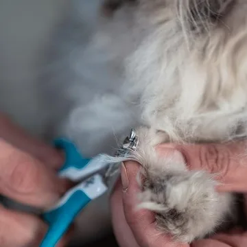 Mr. Pen Cat Nail Clipper for Safe and Easy Grooming