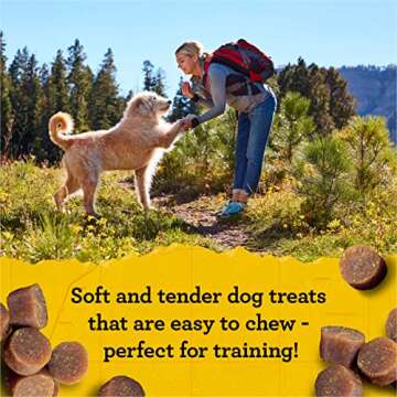Buy Zuke's Mini Naturals Dog Training Treats Pack of 2
