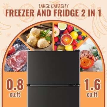 Stylish DEMULLER 2.4 Cu.ft Mini Fridge with Double Doors & Adjustable Temperature Control for Dorms ...