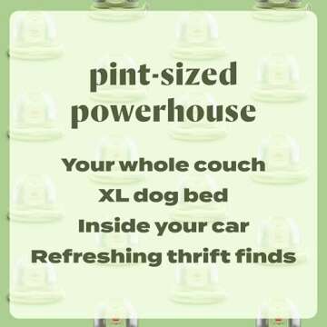 Bissell Little Green Portable Deep Cleaner - Eco-Friendly Stain Removal